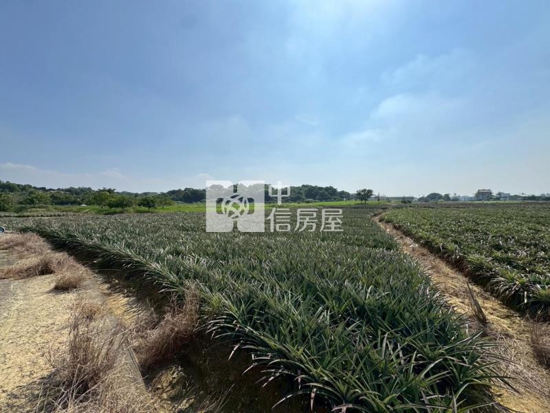 關廟區埤子頭可割買農地房屋室內格局與周邊環境