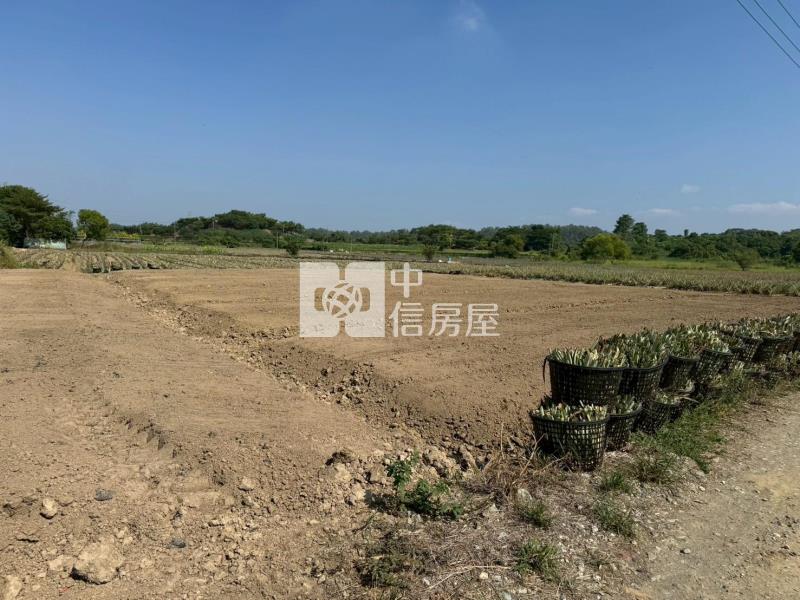 關廟區埤子頭可割買農地房屋室內格局與周邊環境