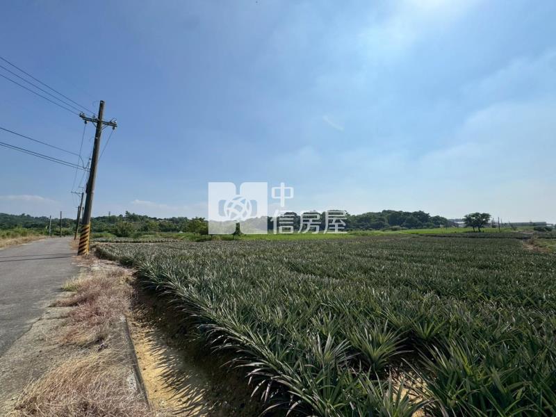 關廟區埤子頭可割買農地房屋室內格局與周邊環境