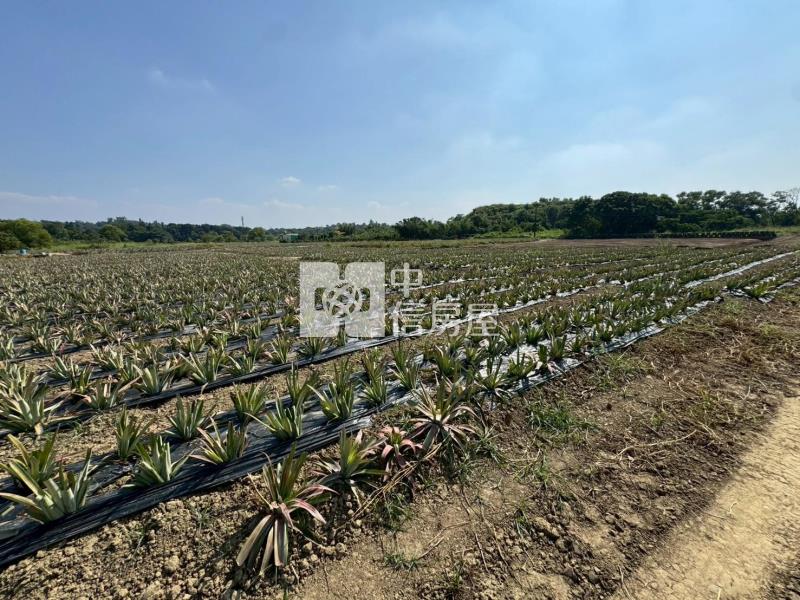 關廟區埤子頭可割買農地房屋室內格局與周邊環境