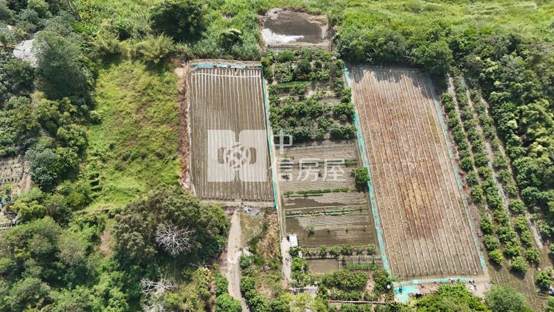 歸仁大苓段5.5分水電一般農房屋室內格局與周邊環境