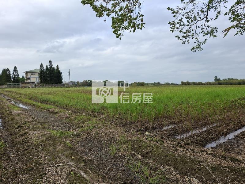 新屋近66快速路美農地房屋室內格局與周邊環境