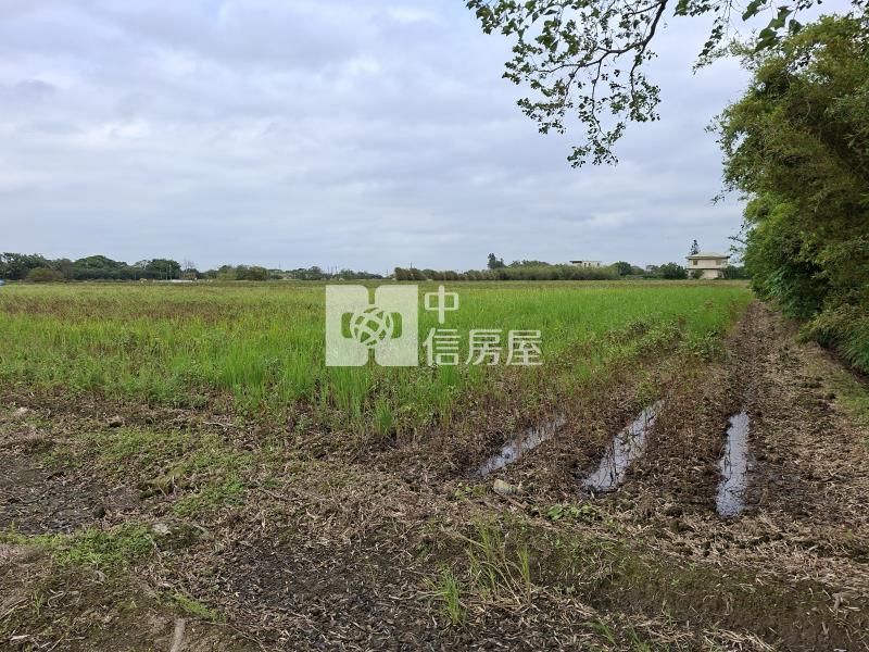 新屋近66快速路美農地房屋室內格局與周邊環境