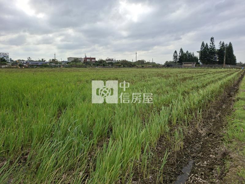 新屋近66快速路美農地房屋室內格局與周邊環境