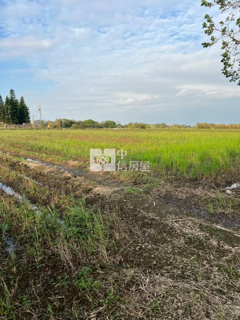 新屋區近六六快速路八段農地房屋室內格局與周邊環境