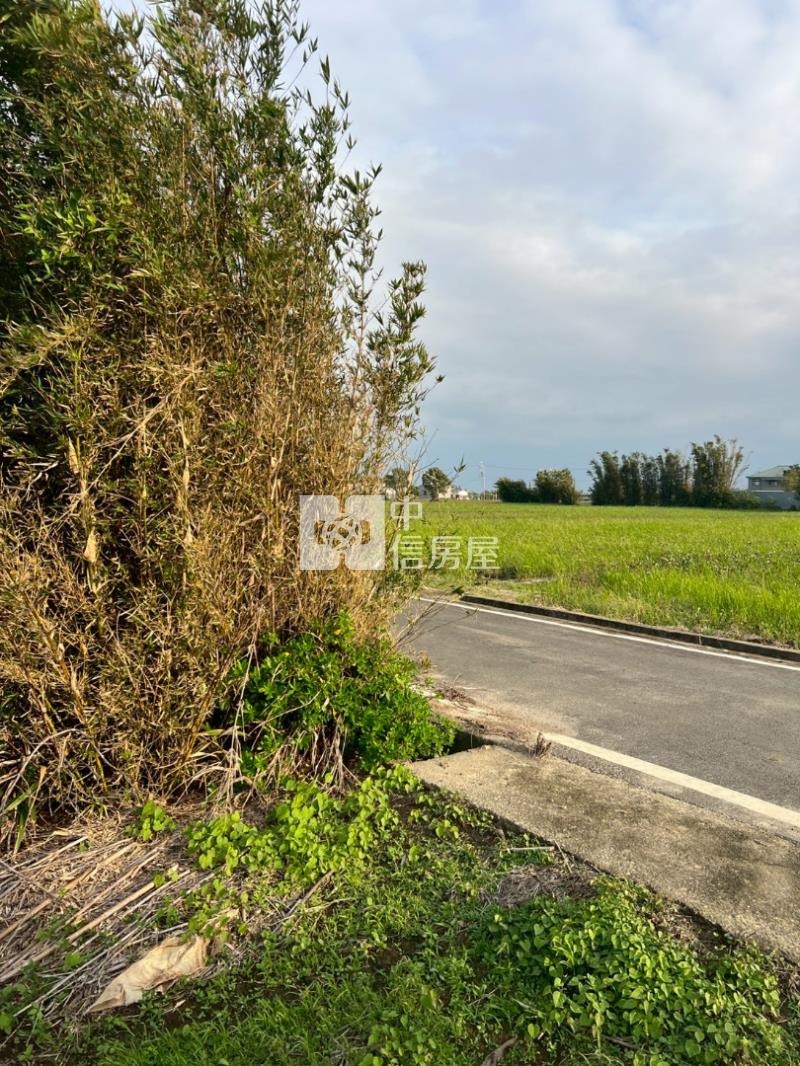 新屋區近六六快速路八段農地房屋室內格局與周邊環境