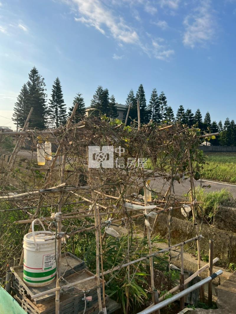 新屋區近六六快速路八段農地房屋室內格局與周邊環境