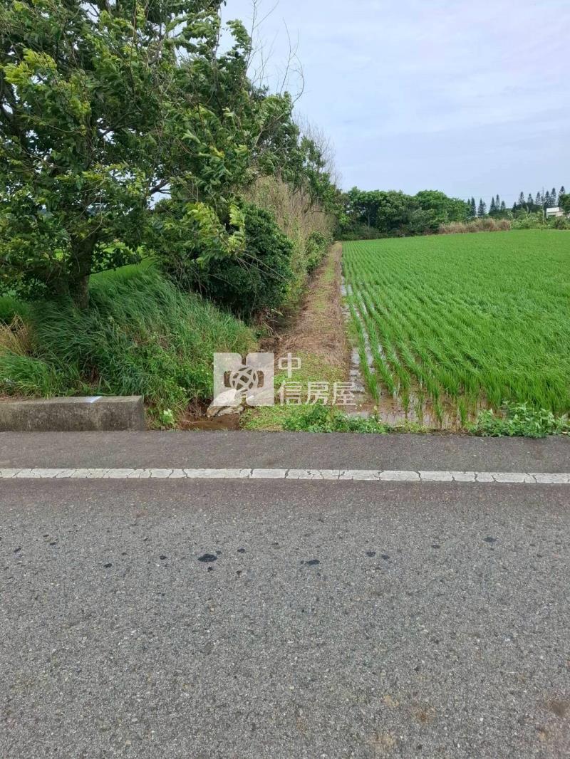 觀音正金橋路農地房屋室內格局與周邊環境
