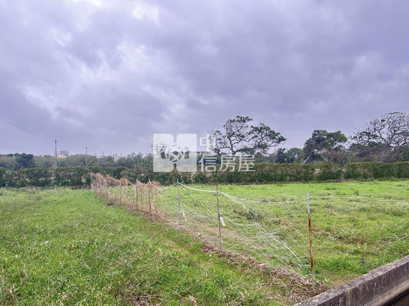 觀音茄苳雙面路美農地房屋室內格局與周邊環境