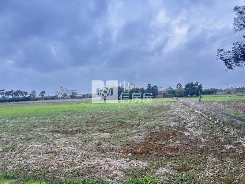 觀音茄苳雙面路美農地房屋室內格局與周邊環境