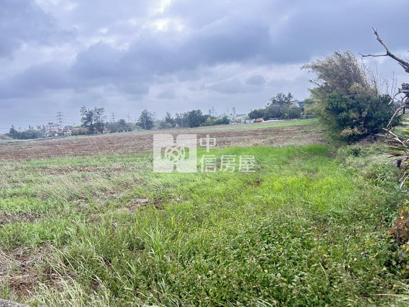 觀音茄苳雙面路美農地房屋室內格局與周邊環境