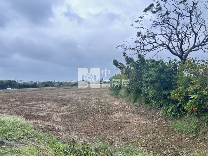 新屋石磊雙面美農地房屋室內格局與周邊環境