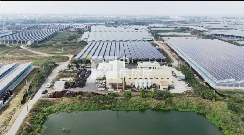 義竹現成廠房農建地房屋室內格局與周邊環境