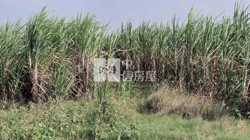 安南近南興國小都內美農地(一)房屋室內格局與周邊環境