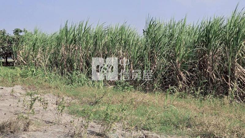 安南近南興國小都內美農地(一)房屋室內格局與周邊環境