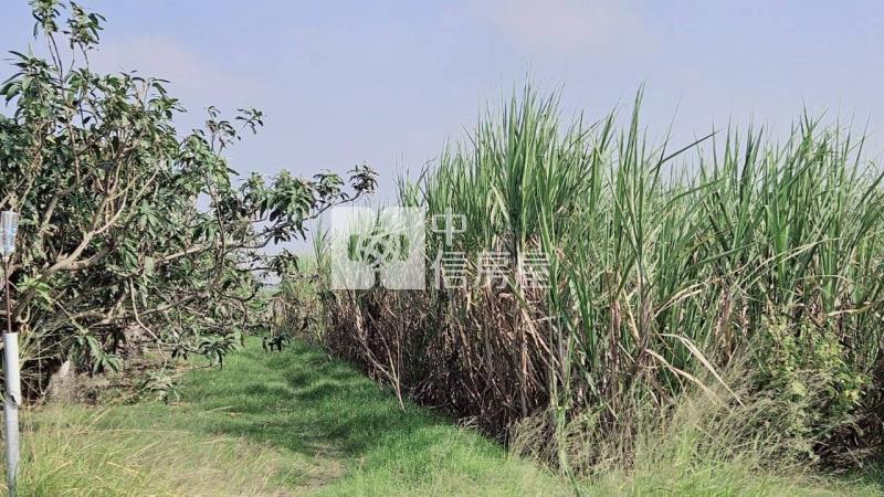 安南近南興國小都內美農地(一)房屋室內格局與周邊環境