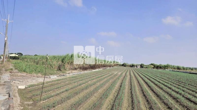 安南近南興國小都內美農地(一)房屋室內格局與周邊環境