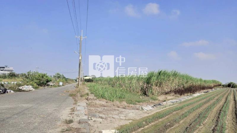 安南近南興國小都內美農地(一)房屋室內格局與周邊環境