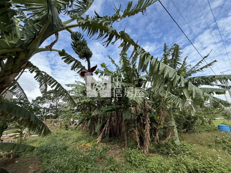【安家】專任-龍潭雙語國小旁有水有電精美農地房屋室內格局與周邊環境