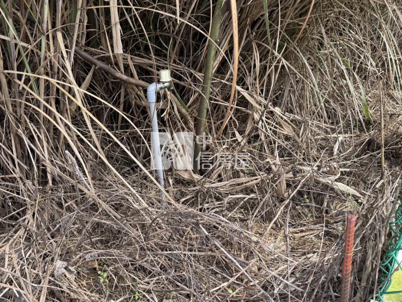 【安家】專任-龍潭雙語國小旁有水有電精美農地房屋室內格局與周邊環境