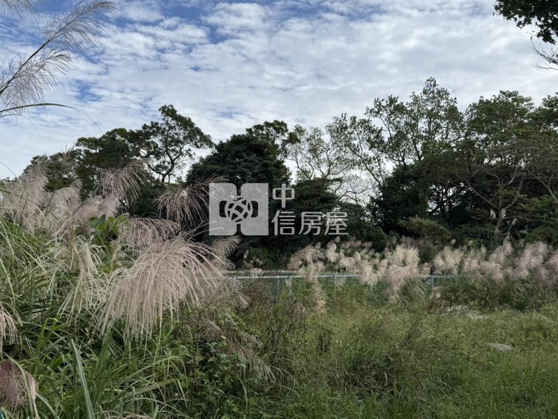 【安家】專任-龍潭雙語國小旁有水有電精美農地房屋室內格局與周邊環境