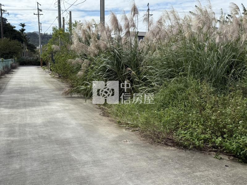 【安家】專任-龍潭雙語國小旁有水有電精美農地房屋室內格局與周邊環境