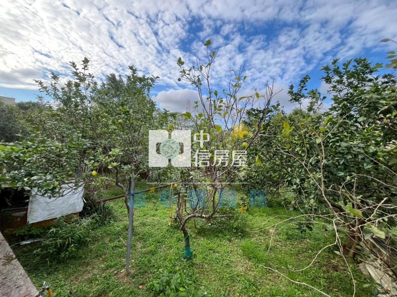 【新夢想】龍潭交流道46米大面都內農舍房屋室內格局與周邊環境