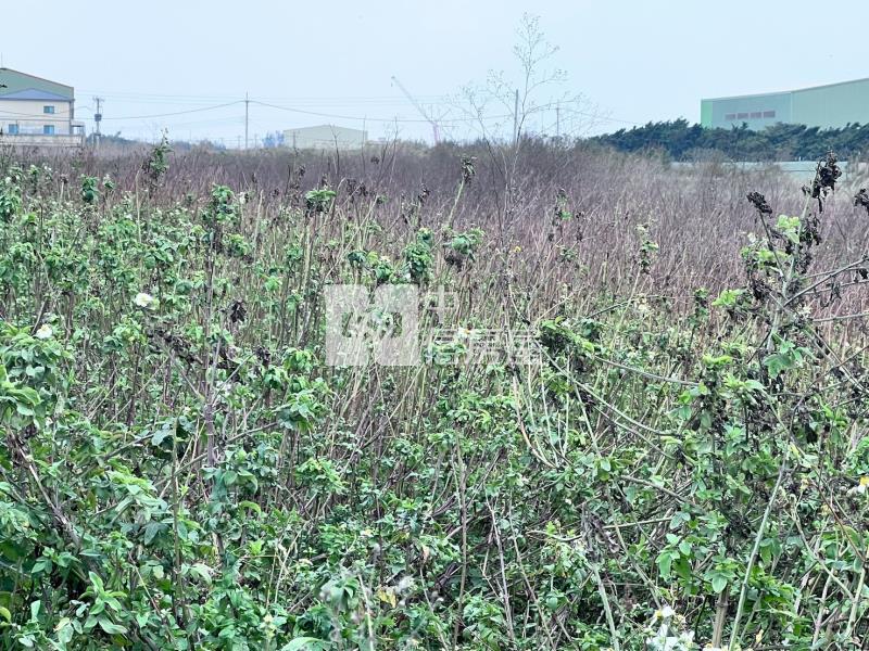 近工業路農地房屋室內格局與周邊環境