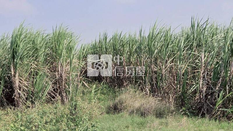 安南近南興國小都內美農地(二)房屋室內格局與周邊環境