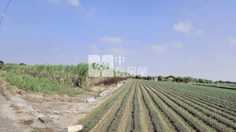 安南近南興國小都內美農地(二)房屋室內格局與周邊環境