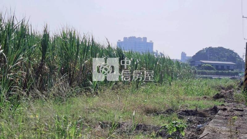 安南近南興國小都內美農地(二)房屋室內格局與周邊環境