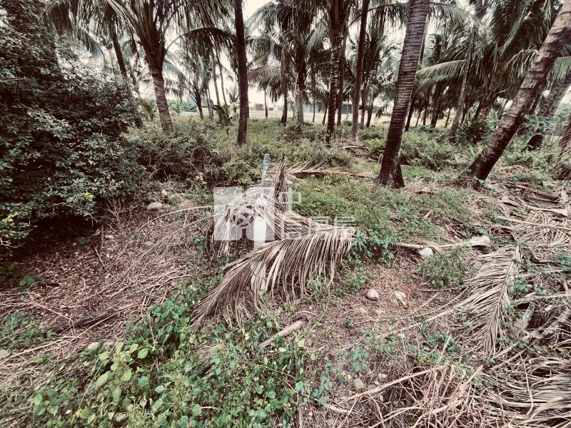 大仁科大大面寬農地*專約*房屋室內格局與周邊環境