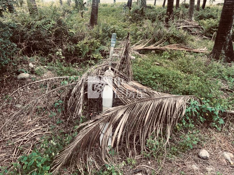 大仁科大大面寬農地*專約*房屋室內格局與周邊環境