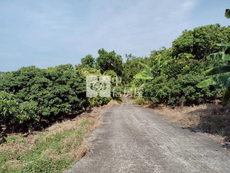 浪漫台三線丙建菓園房屋室內格局與周邊環境