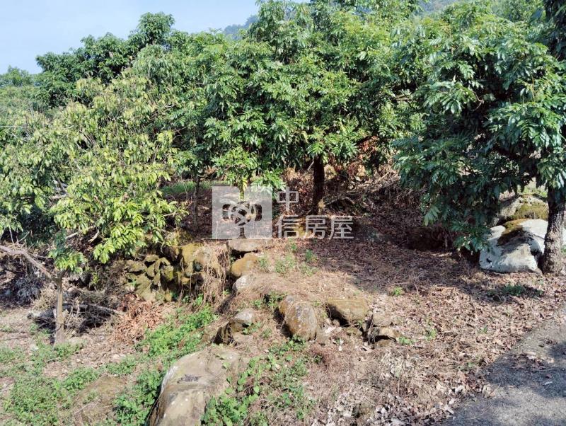 浪漫台三線丙建菓園房屋室內格局與周邊環境