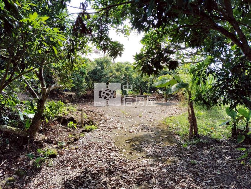 浪漫台三線丙建菓園房屋室內格局與周邊環境