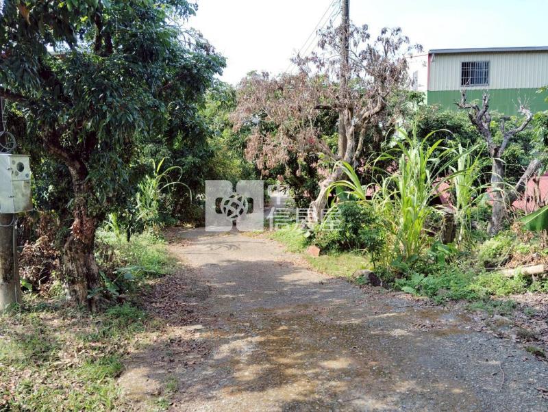 浪漫台三線丙建菓園房屋室內格局與周邊環境