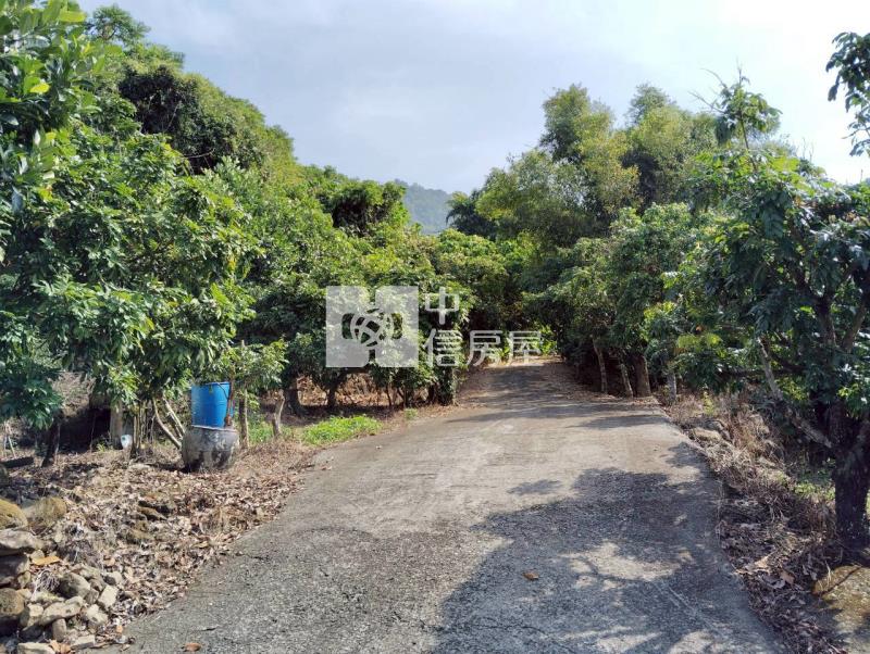 浪漫台三線丙建菓園房屋室內格局與周邊環境