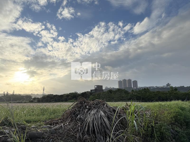 大溪花彩節旁美農地房屋室內格局與周邊環境