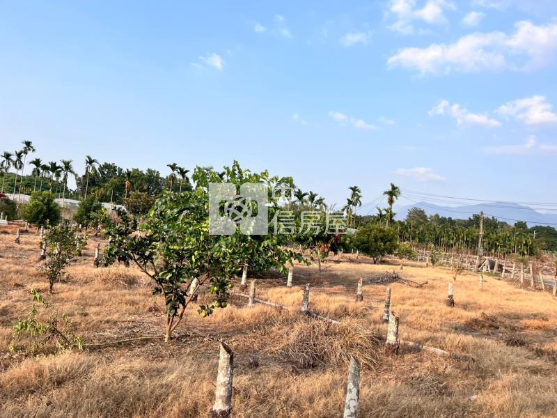 鹽埔大面寬農地房屋室內格局與周邊環境