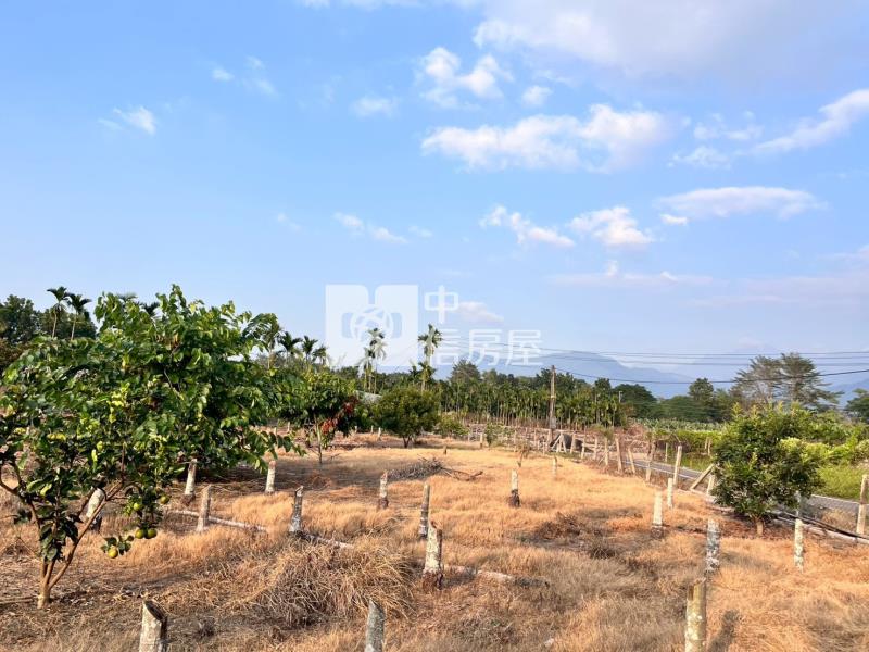 鹽埔大面寬農地房屋室內格局與周邊環境