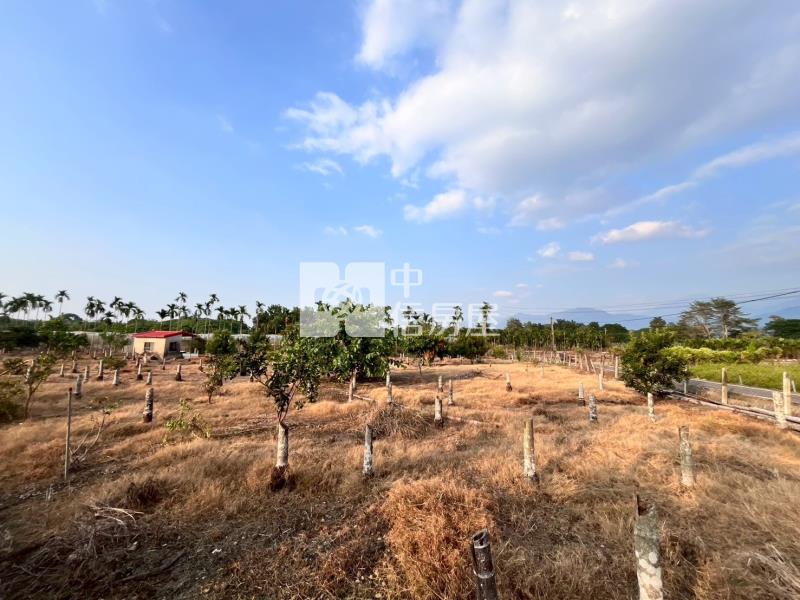 鹽埔大面寬農地房屋室內格局與周邊環境