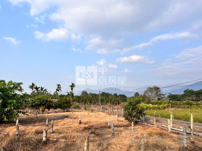 鹽埔大面寬農地房屋室內格局與周邊環境