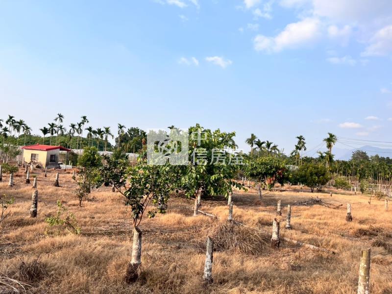 鹽埔大面寬農地房屋室內格局與周邊環境
