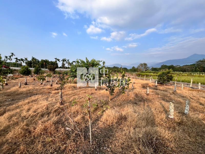 鹽埔大面寬農地房屋室內格局與周邊環境