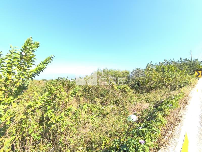 外埔國小農牧用地房屋室內格局與周邊環境