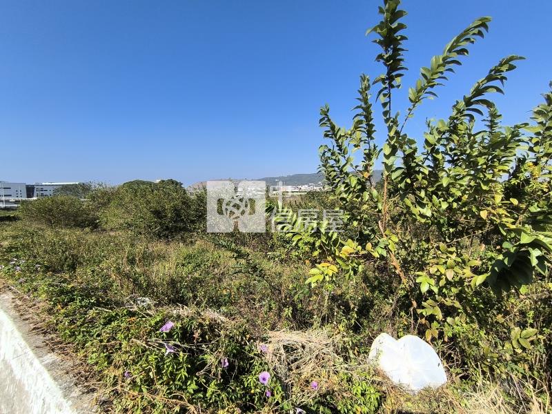 外埔國小農牧用地房屋室內格局與周邊環境