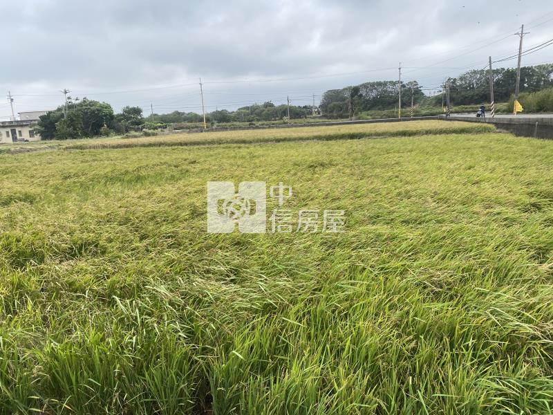 新豐福興國小便宜美農地-專房屋室內格局與周邊環境