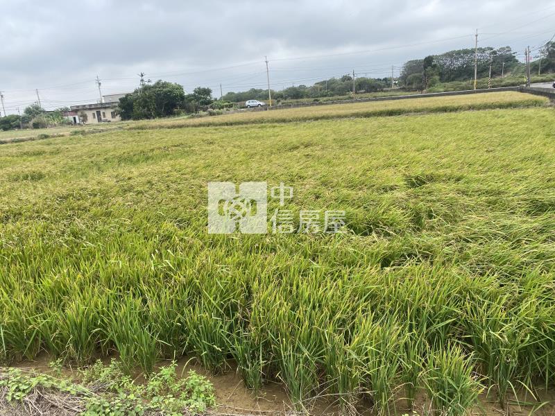 新豐福興國小便宜美農地-專房屋室內格局與周邊環境