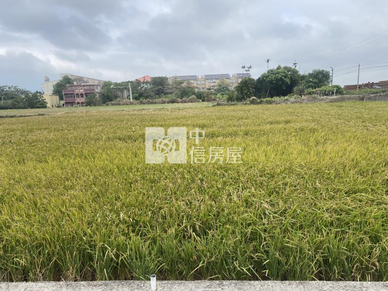 新豐福興國小便宜美農地-專房屋室內格局與周邊環境